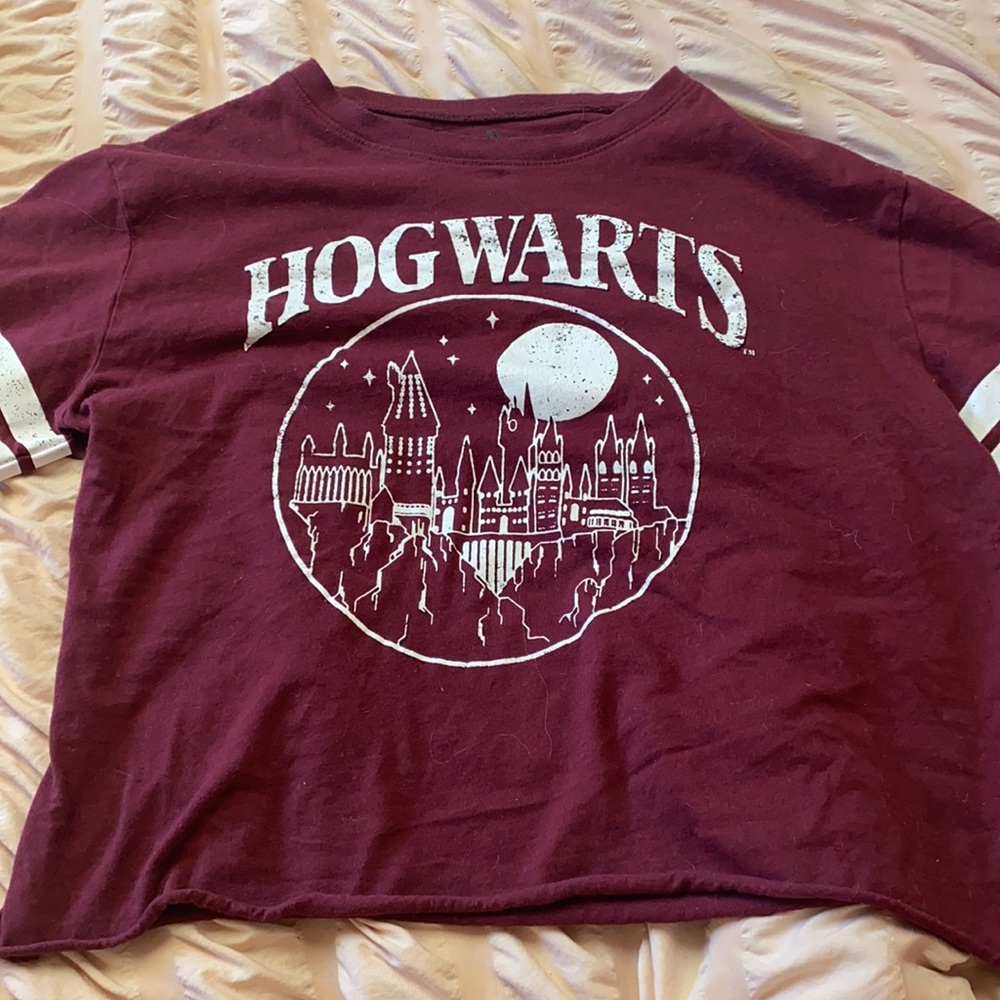 Harry Potter crop top
